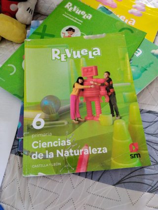 Lote de libros 6 primaria castilla y leon