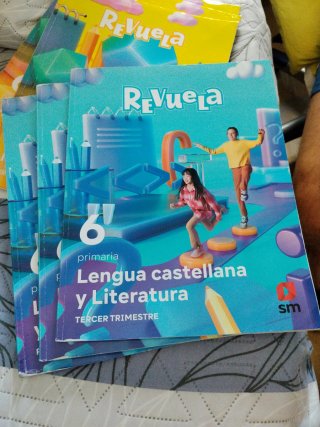 Lote de libros 6 primaria castilla y leon