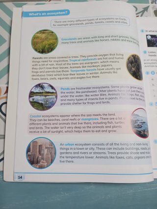 CLIL World, Natural & Social Sciences 4 Class b...