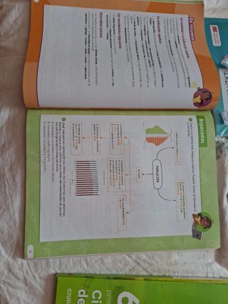 Ciencias Sociales, 6 Primaria, Castilla y León,...