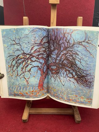 LIBRO GENIOS DE LA PINTURA VIII