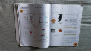 Natural Science, 6 Primary, Global Action