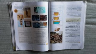 Natural Science, 6 Primary, Global Action