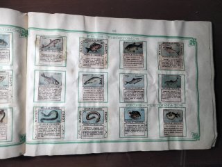 ÁLBUM PARA ENVOLTURAS CARAMELO S MATÍAS LÓPEZ