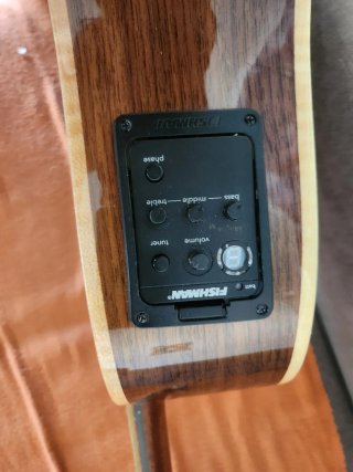 Guitarra Acústica Alvarez ADWS77CESHB