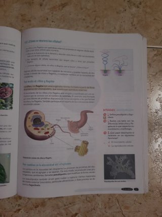 Biología y Geología, 4 ESO, Andalucía