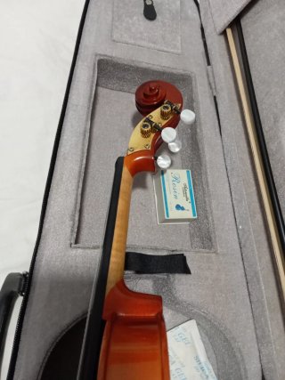 Violín Electroacústico con Funda y Arco