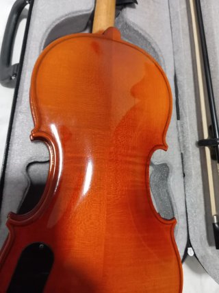 Violín Electroacústico con Funda y Arco