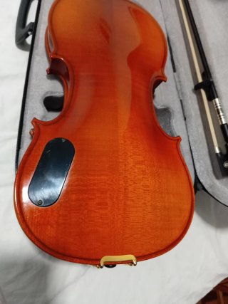 Violín Electroacústico con Funda y Arco