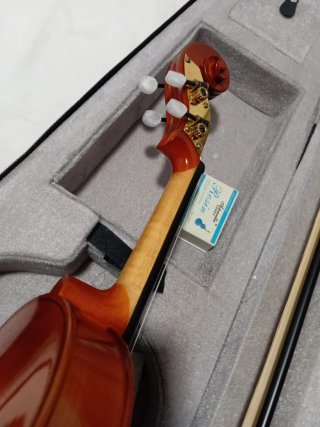 Violín Electroacústico con Funda y Arco