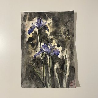 Pintura original Iris Latifolia