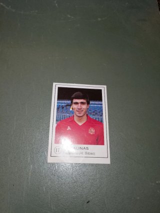 Cromos Julio Salinas y Andoni Zubizarreta