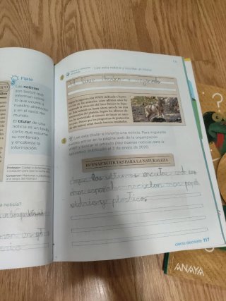 Lengua 2 primaria