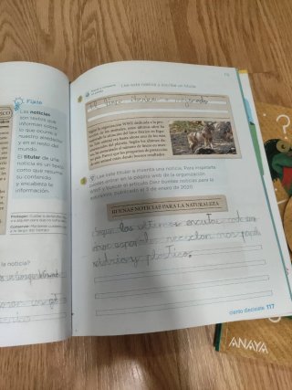 Lengua 2 primaria