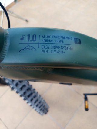 Bicicleta eléctrica Prophete DICE 1.0