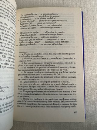 Nueva antología de la poesía española