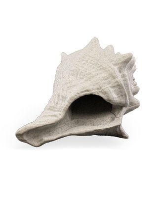 Cangrejo Articulado con Concha - Juguete Sensorial