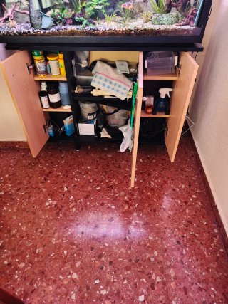 Acuario 100L con decoración