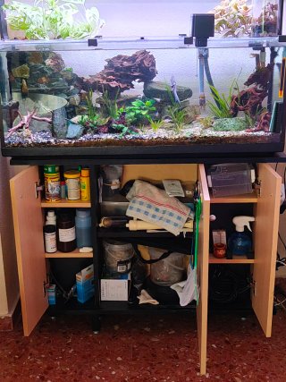 Acuario 100L con decoración