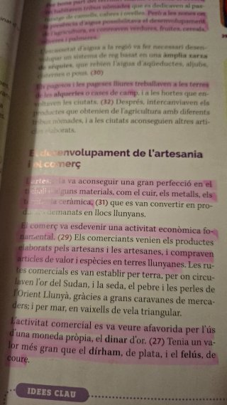 Libros Ramar lote completo 2° esso