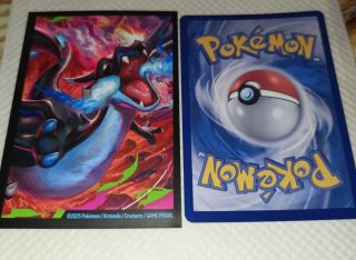 Carta Pokémon Megalizardon X EX 360 HP