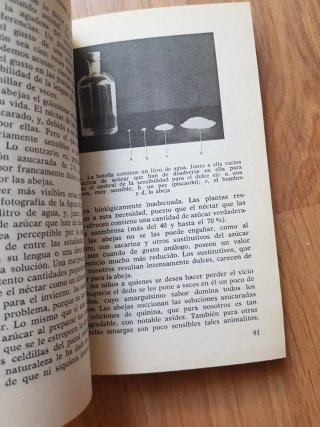 La vida de las abejas. Karl von frisch