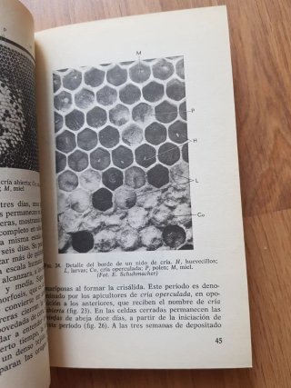 La vida de las abejas. Karl von frisch