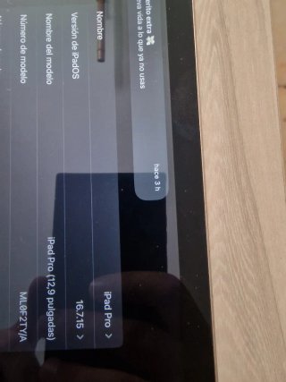 Apple iPad Pro Plata