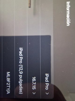 Apple iPad Pro Plata