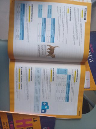 Lengua Castellana y Literatura 5, Tercer Ciclo ...