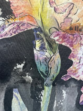 Pintura original Iris Germanica acuarela