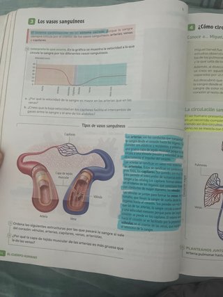Biología y Geología, 3 Secundaria, Andalucía Re...