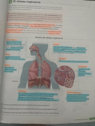 Biología y Geología, 3 Secundaria, Andalucía Re...
