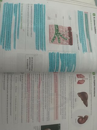 Biología y Geología, 3 Secundaria, Andalucía Re...