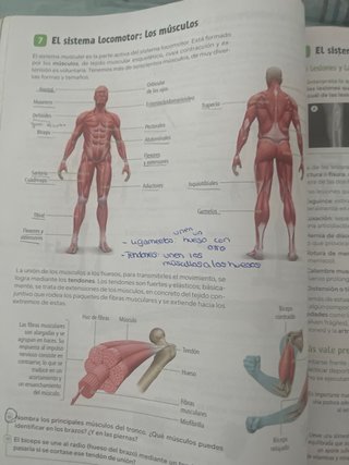 Biología y Geología, 3 Secundaria, Andalucía Re...