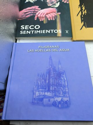 Libros de arte y cuentos especiales 15€ unidad