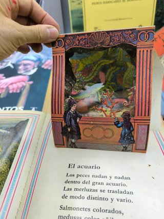 Libros de arte y cuentos especiales 15€ unidad