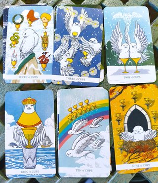 White Winny Tarot, Tarot de Cheluzas Buhós Blancos