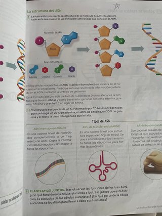 Biología y Geología, 4 Secundaria, Andalucía Re...