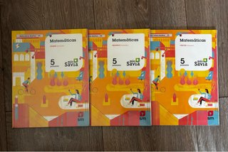 Matemáticas. 5 Primaria. Más Savia. Madrid