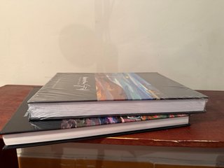 Lote 2 Libros Arte de Lujo "Menchu Gal" (NUEVOS/PR