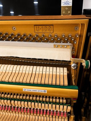 Piano Acústico Young Chang U-109