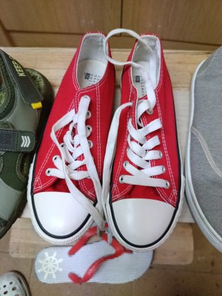 Lote Zapatillas y Chanclas Talla 36-37