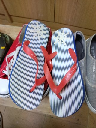 Lote Zapatillas y Chanclas Talla 36-37
