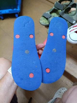 Lote Zapatillas y Chanclas Talla 36-37