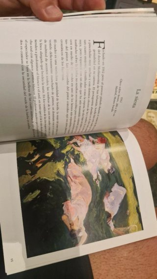 Joaquín Sorolla libro