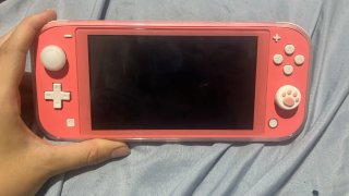Nintendo Switch Lite Rosa