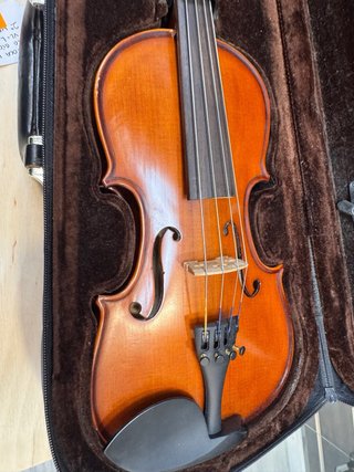 Viola 12 Carlo Giordano VL1 2ª Mano
