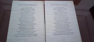 Diccionario Real Academia Española