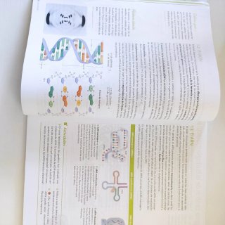 Biología y Geología 4 ESO